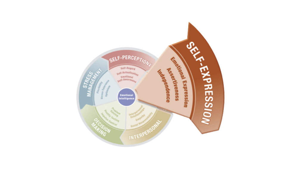 This is one scale of EI, the self expression scale where assertiveness falls into. 